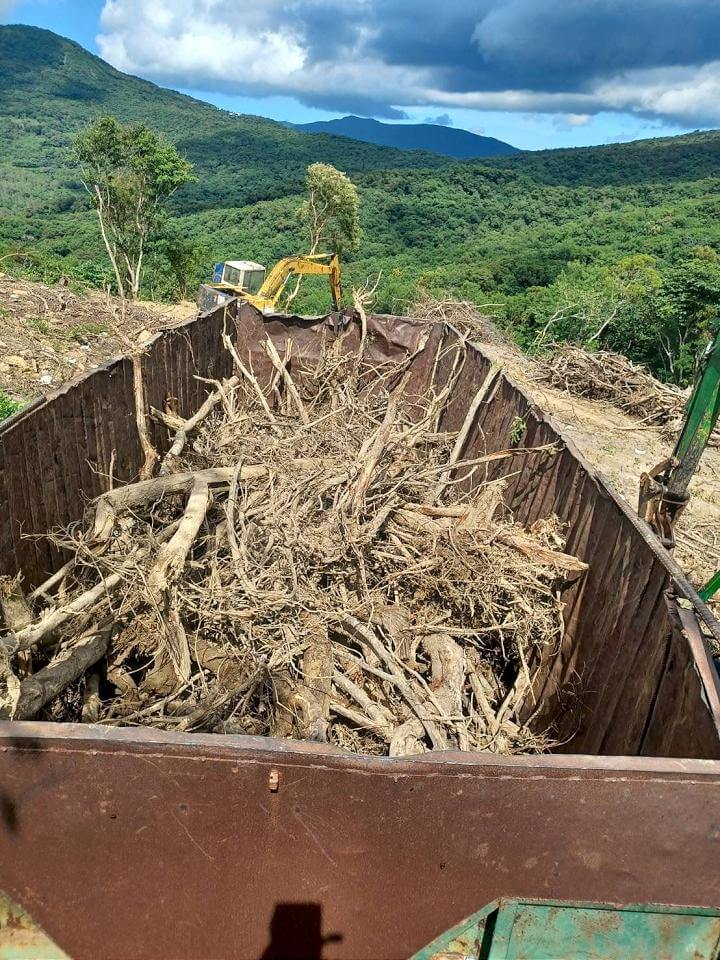 外侵植物銀合歡破壞原生態 恆春半島收購計畫啟動
