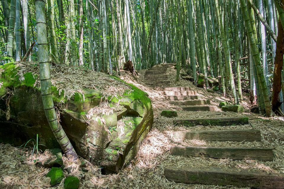 端午節吃粽不增肉重 嘉義精選12優質步道