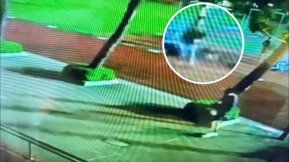 球場旁假觀鬥牛球賽 竊嫌伺機偷錢包